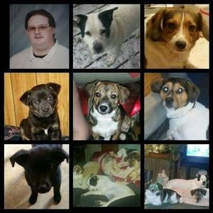 Meet your Posher, Roger